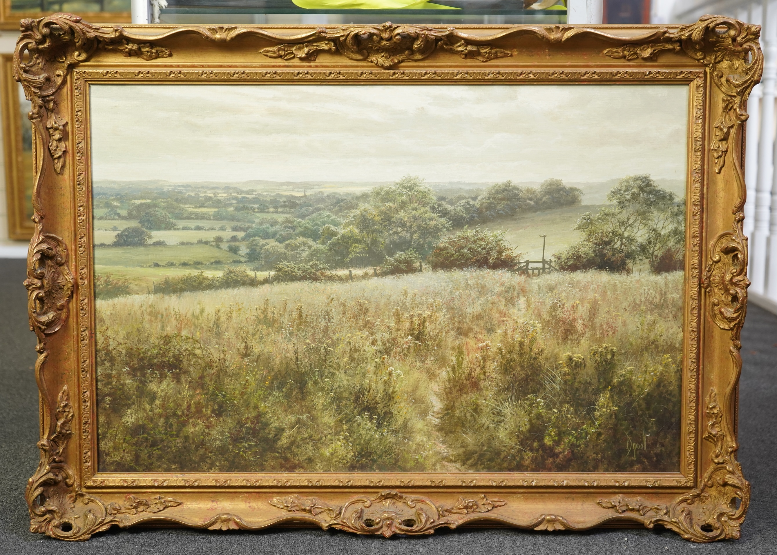 David Dipnall (1941-2023), Wild Meadow landscape